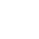 Hardwood Repair and Restoration